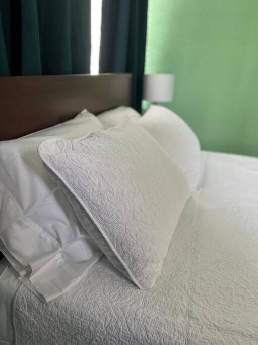 Cosy 3-bedroom Downtown Walk To Convention Center